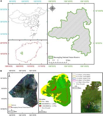Recent Recovery of the World’s Rarest Primate Is Not Directly Linked to Increasing Habitat Quality